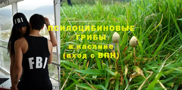 хмурый Армянск