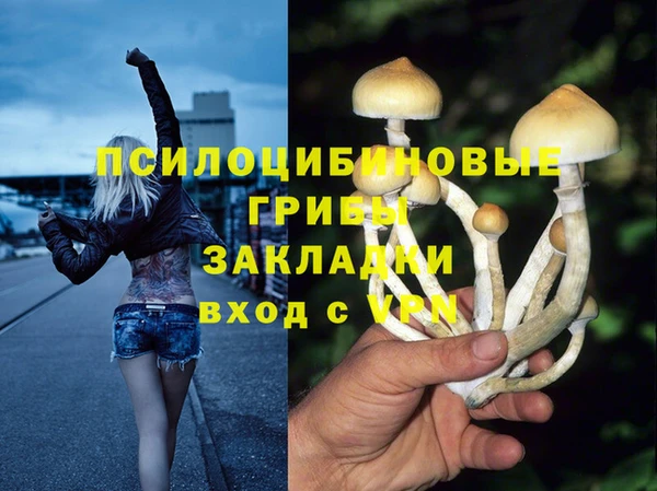 кокаин премиум Алексеевка