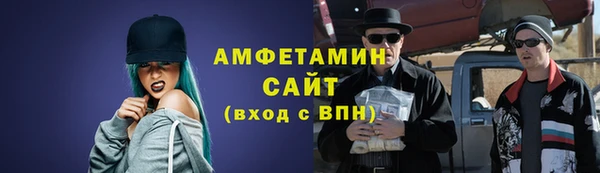 мет Алексин