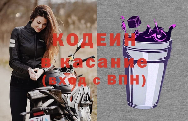 гашик Алзамай
