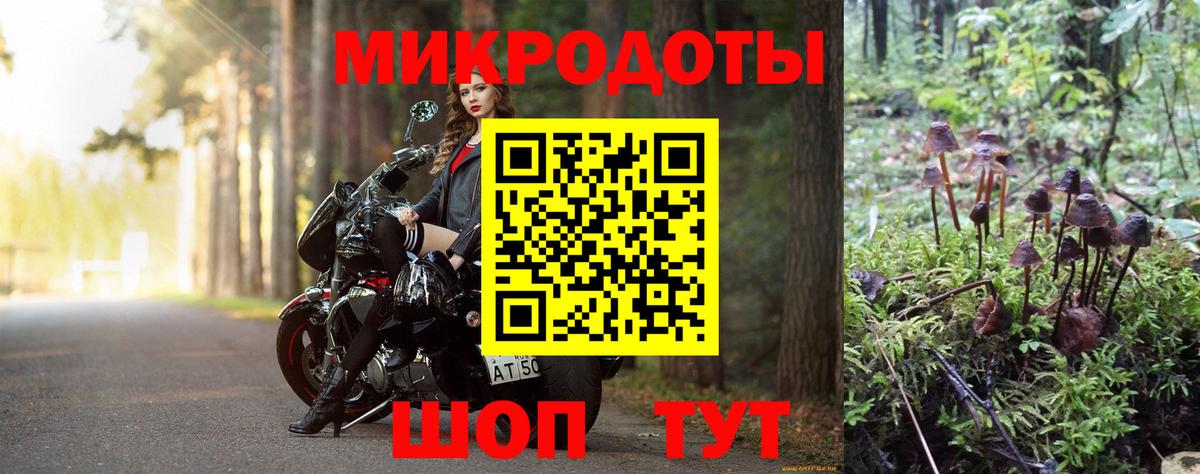 Псилоцибиновые грибы Cubensis Верхняя Салда