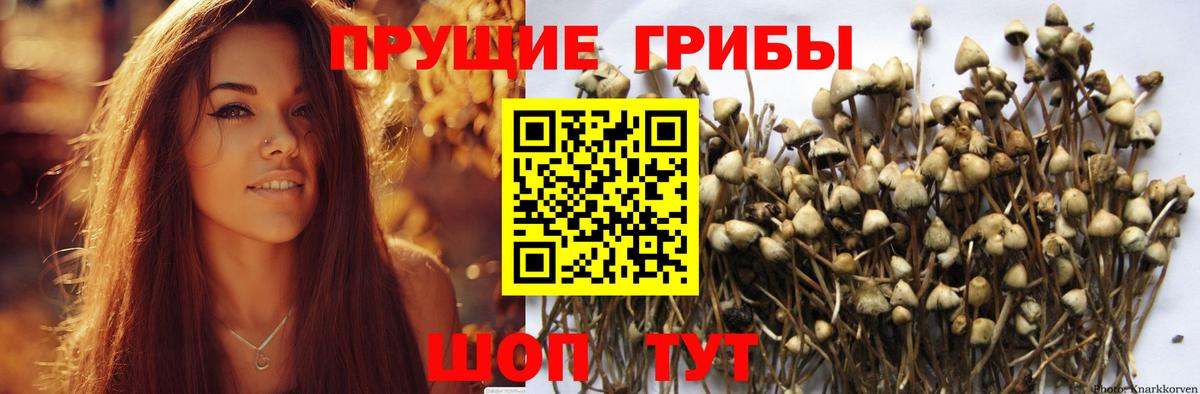 Псилоцибиновые грибы ЛСД  Вход с VPN  Галлюциногенные грибы мухоморы  Верхняя Салда 